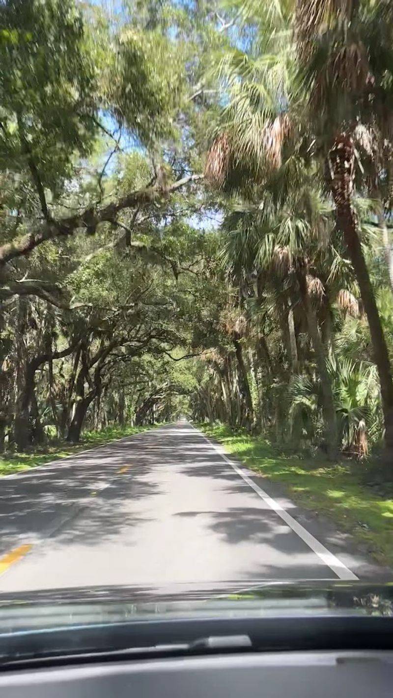 Why This Road Is Perfect for a Reset Day