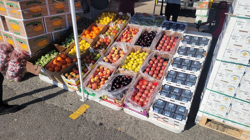 This Florida greenhouse destination is where plant lovers go when basic garden centers no longer impress them 11 Hours, Days, and When to Visit