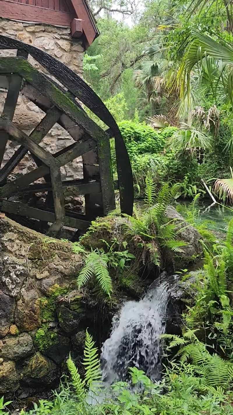 Why Juniper Springs Feels Like Real Florida