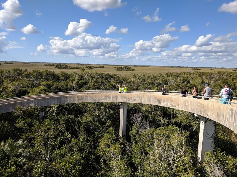 Hike to This Florida Overlook That Resembles a Mini Space Needle 11 Accessibility at Shark Valley Observation Tower