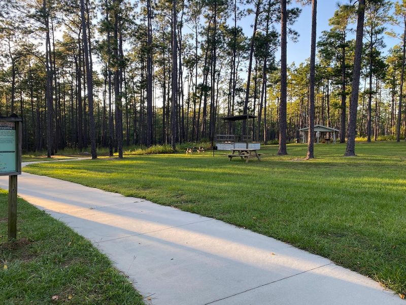 A Playground Right Next to the Waterfall Parking Area