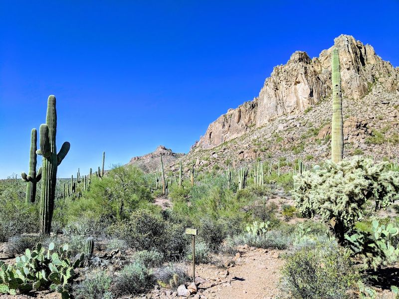 Finding the Trailhead Like a Pro