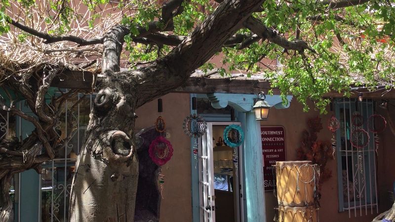 The Shed - Santa Fe, New Mexico