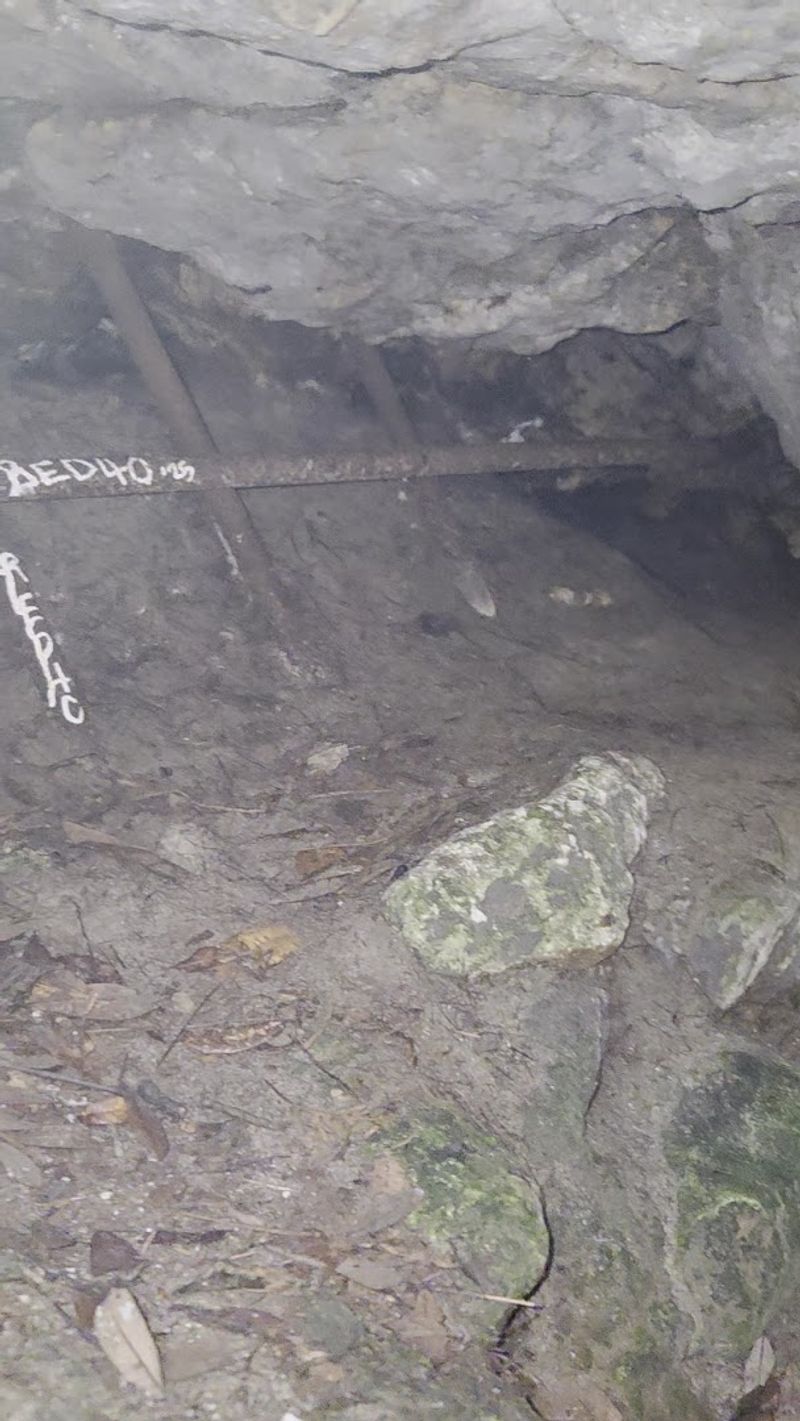 This Florida Cave Trail Offers a Thrilling Hike for the Whole Family 7 Essential Gear to Bring for a Safe Cave Visit