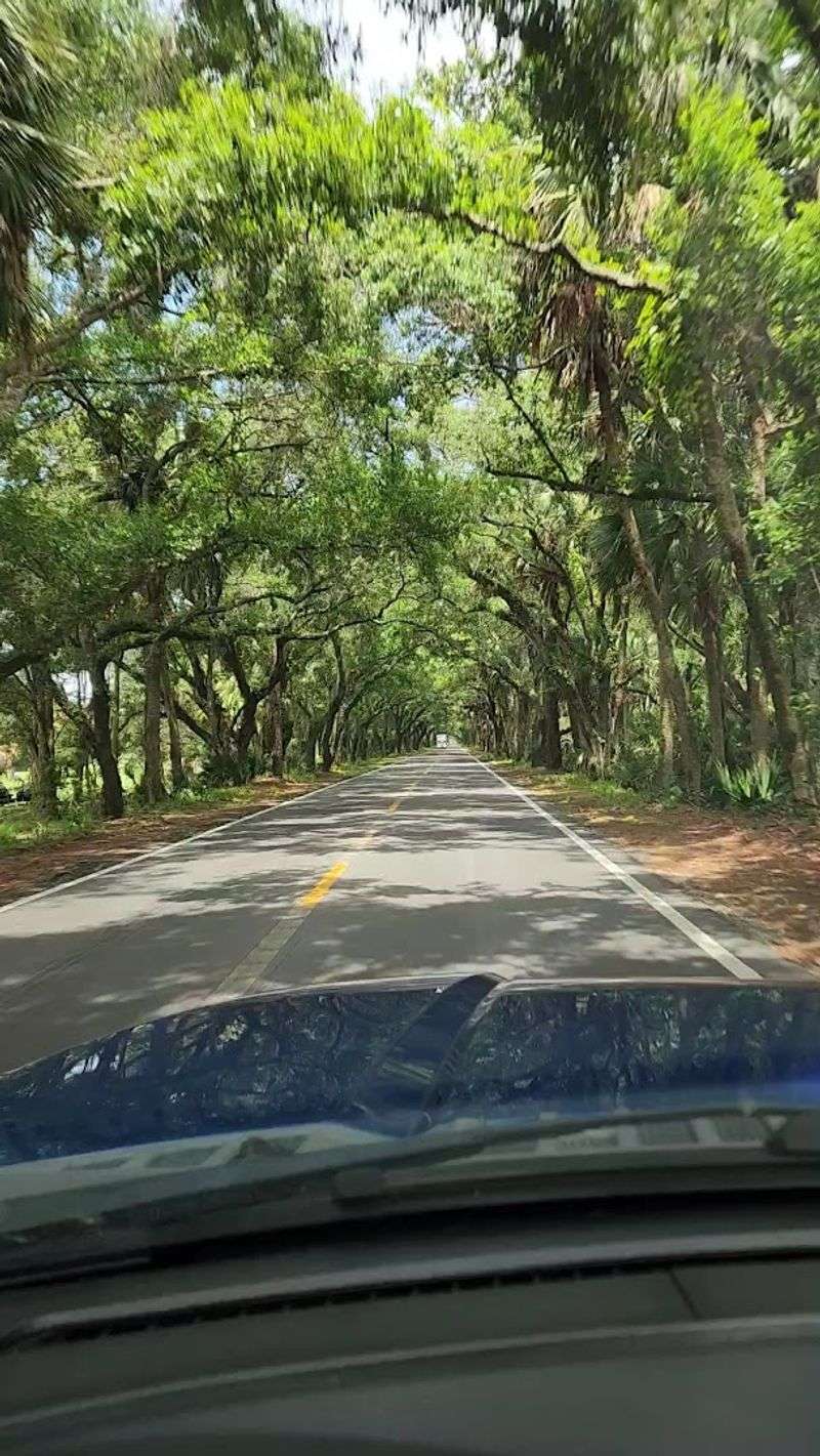 How to Get to Martin Grade Scenic Highway From Major Cities