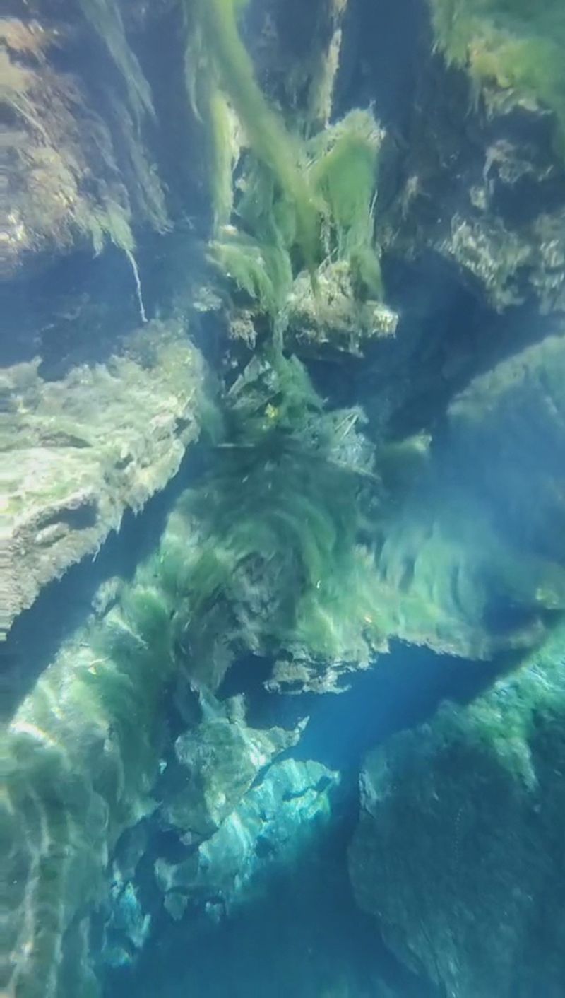 The Fascinating Geology Behind Florida's Famous Spring Systems