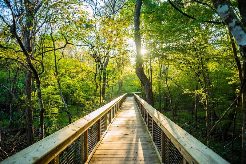 Hiking Trails: More Than Just a Walk in the Woods