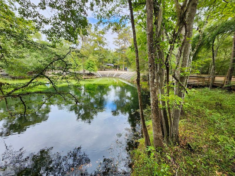 Affordable Admission and Easy Access from Gainesville