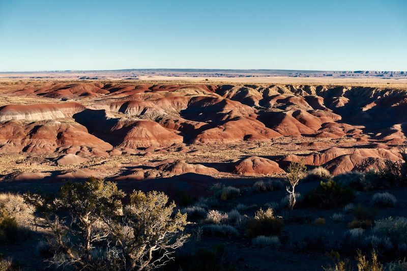 The Dark Sky Experience at Night