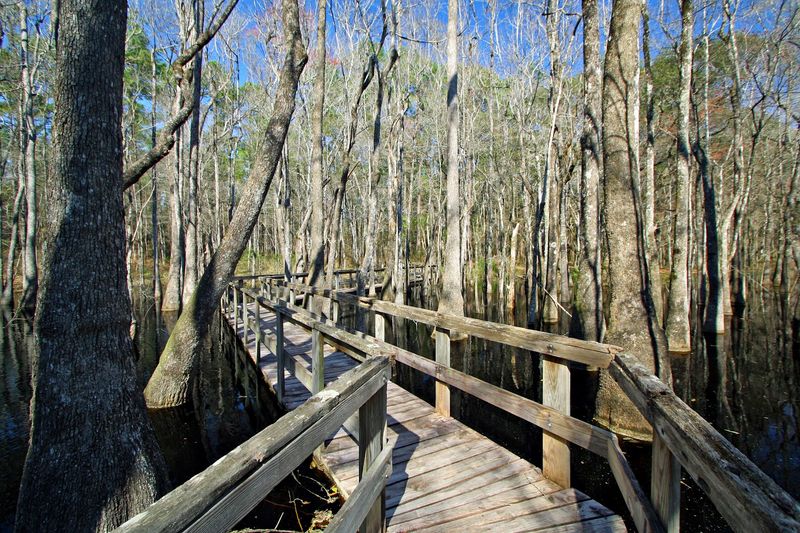 The Boardwalks and Overlook Platforms