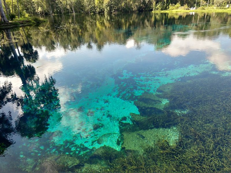 Bird Watching Opportunities