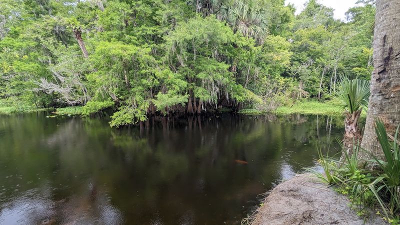 Camping Along the St. Johns River