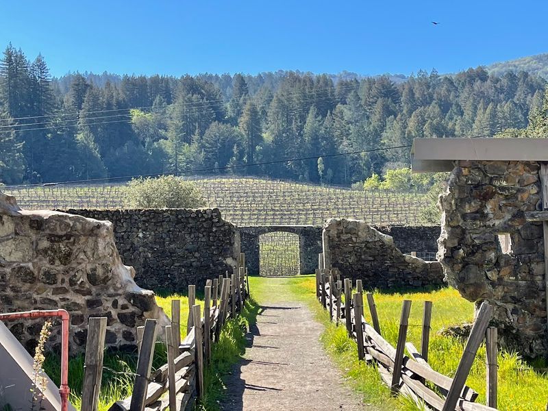This quiet California wine country spot feels like a secret people are struggling not to share 12 A Literary History That Goes Deeper Than Jack London