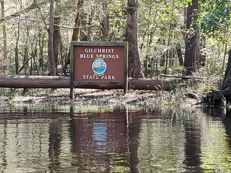 A 1.7-Mile Hike in Florida Leads You to 5 Beautiful Natural Springs 12 Park Entrance and Access Road