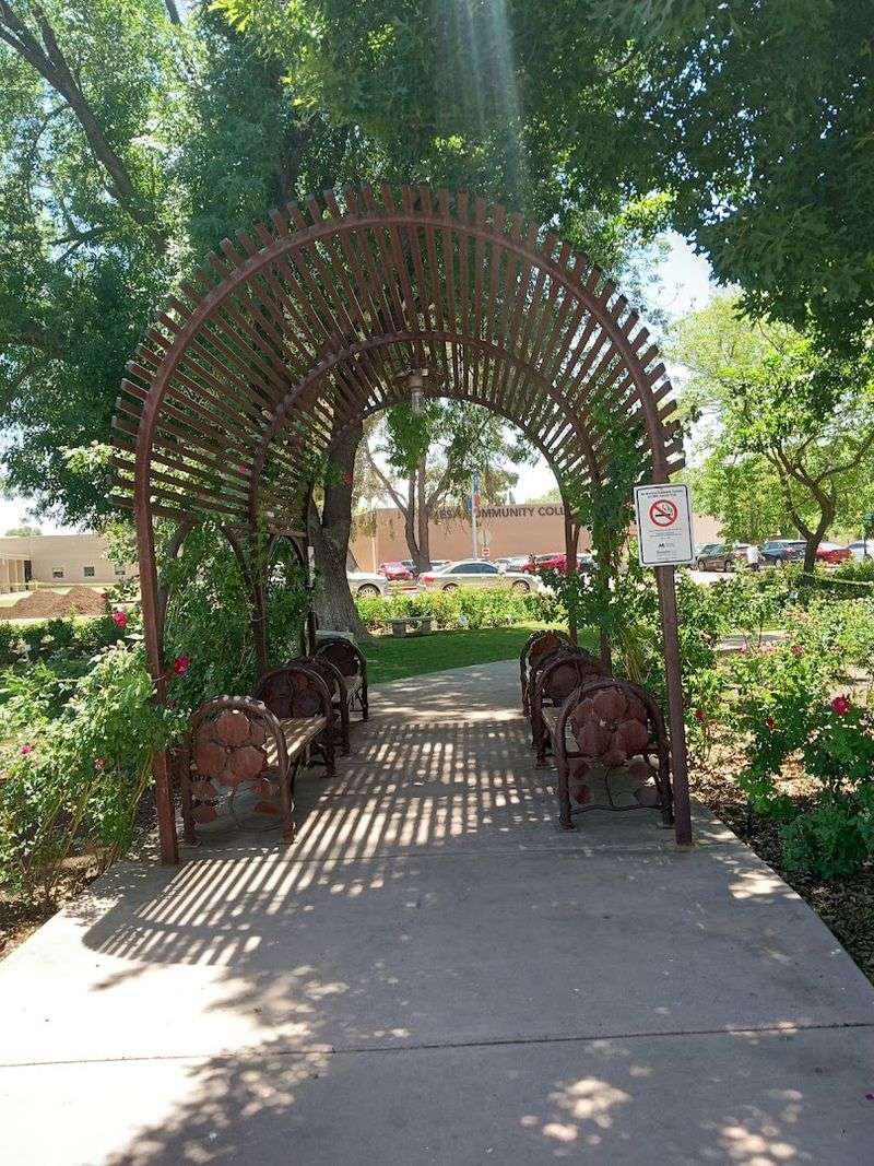 Shady Trees and Peaceful Picnic Spots