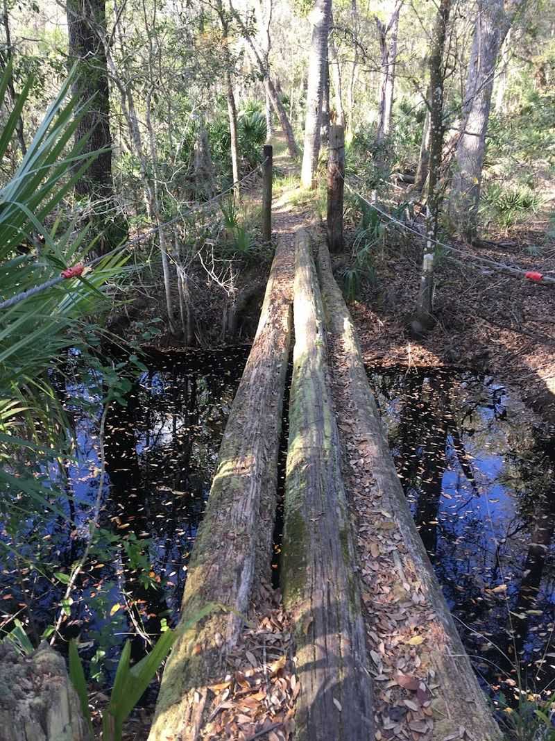 Boardwalks and Log Bridges