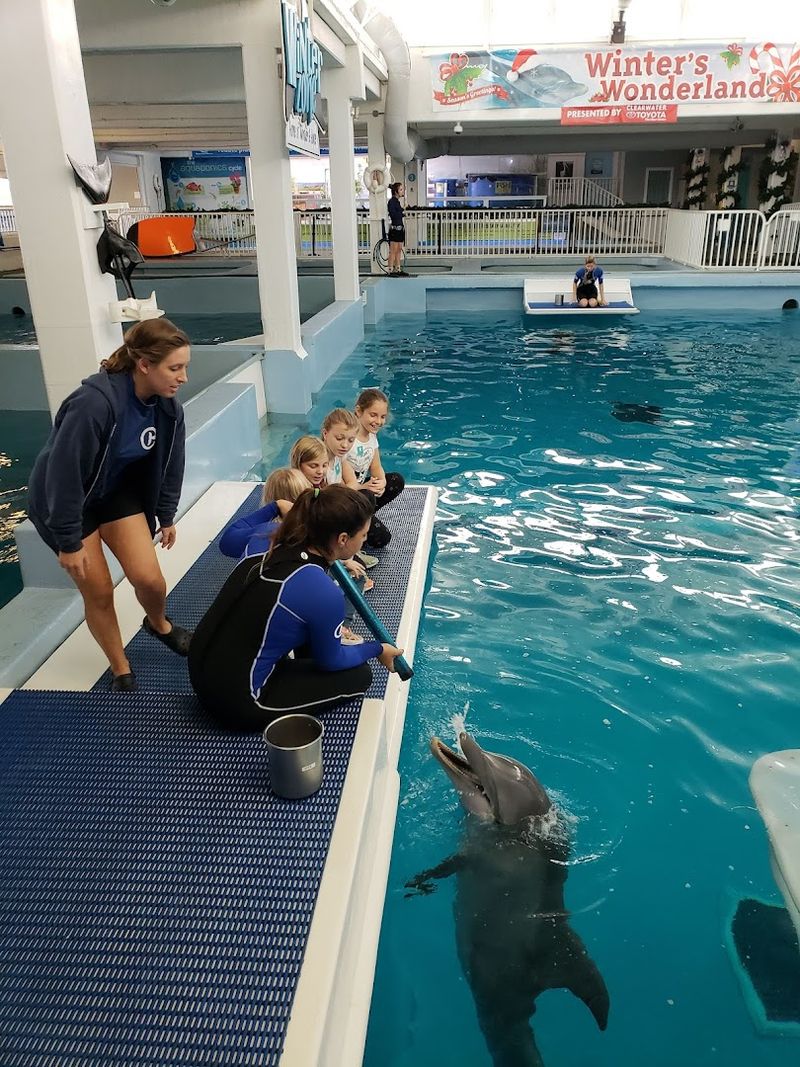 Clearwater Marine Aquarium - Clearwater, Florida