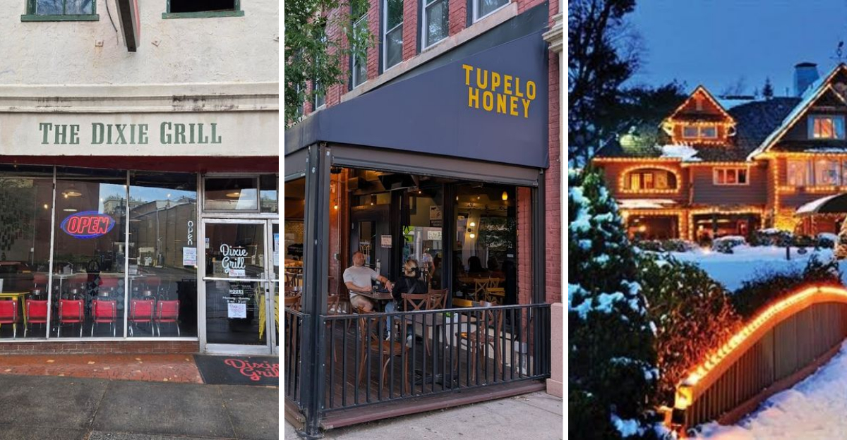 10 North Carolina restaurants serving fried green tomatoes so good locals order them before anything else