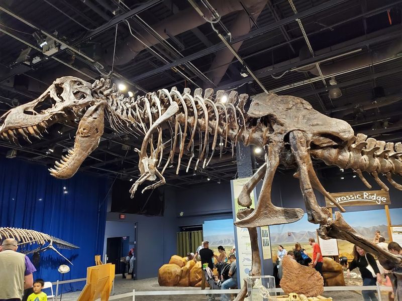 Orlando Science Center - Orlando, Florida