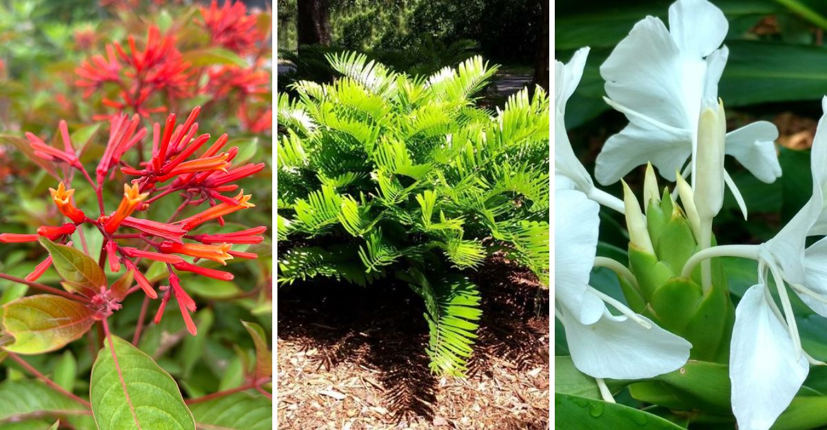 11 Florida Garden Plants That Handle Humidity Better Than Youd