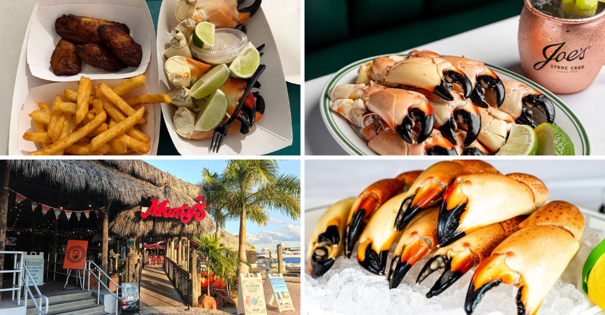 11 Florida restaurants serving stone crab claws so good locals wait all season for them