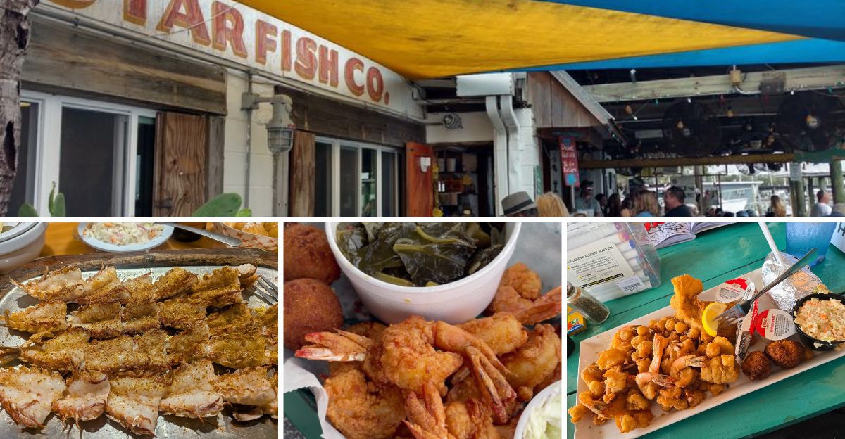 12 Hidden Seafood Spots in Florida Serving Amazing Dishes