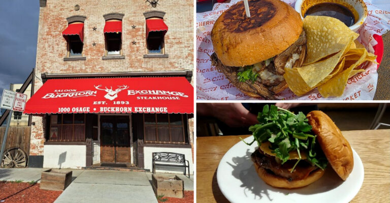 13 Colorado restaurants serving elk burgers so rich locals keep coming back for another bite