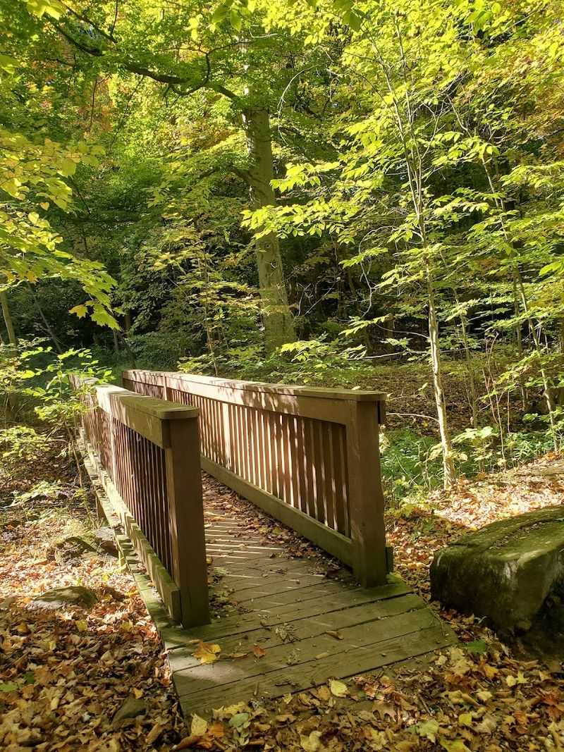 The Scenic Black River Trail