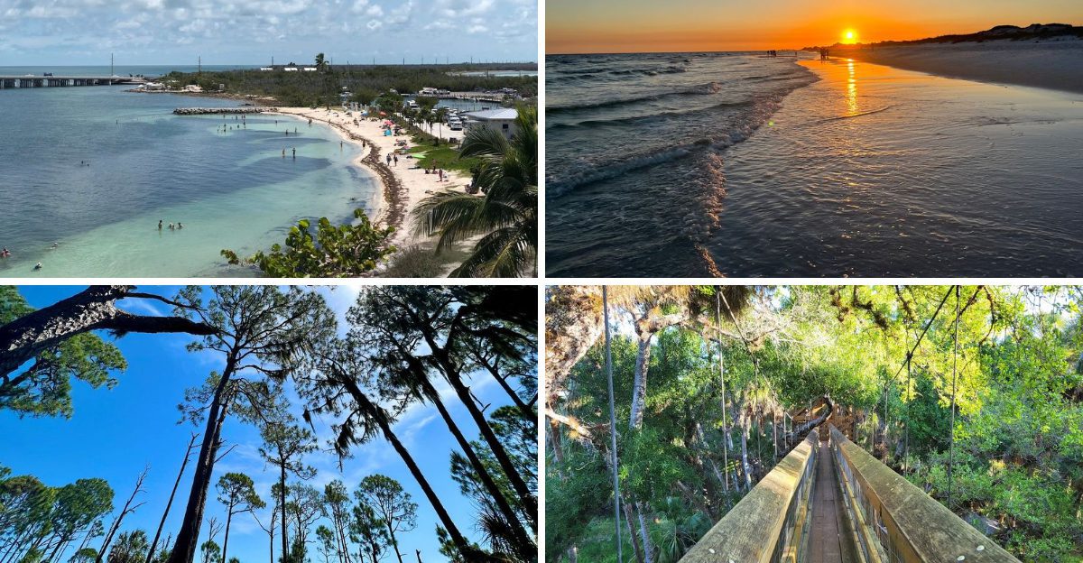 18 Florida State Parks With Views So Stunning They Dont Feel Real