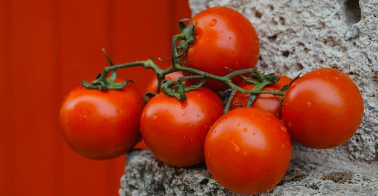 24 Foods Many People Eat Every Week – Without Realizing How Much They’ve Changed