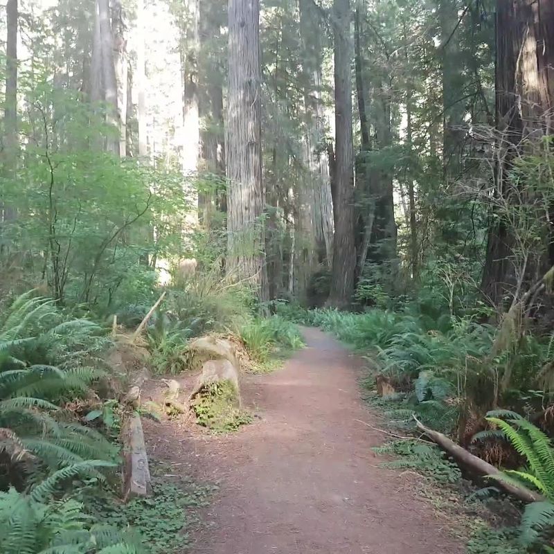75 Miles of Trails: Something for Every Kind of Explorer