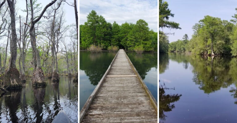 9 hidden gem state parks across North Carolina worth exploring