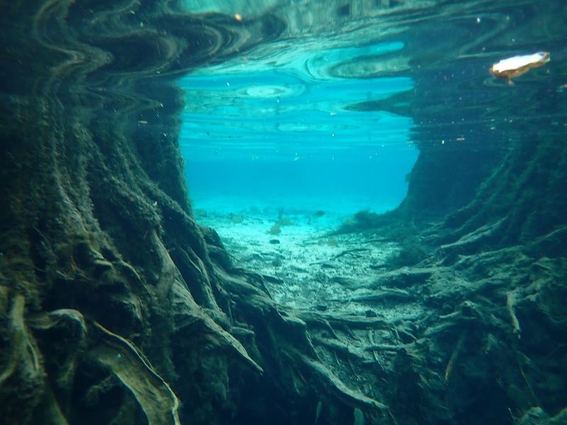 World-Class Scuba Diving Right in the Florida Panhandle