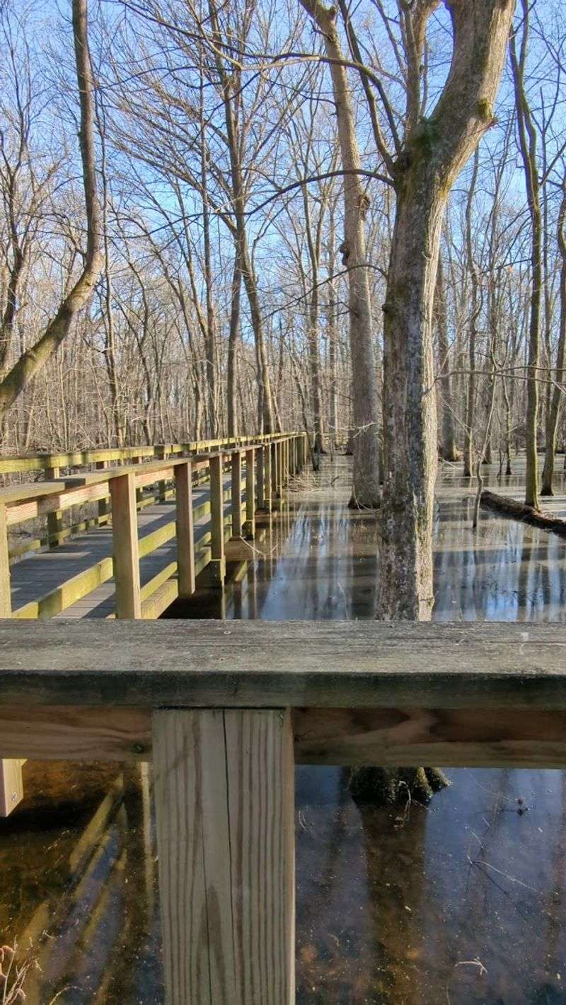 Solitude You Simply Cannot Find at Bigger Parks