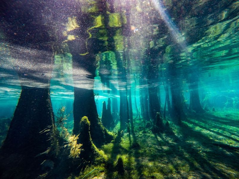 Why Morrison Springs Feels Like Florida's Best Kept Secret