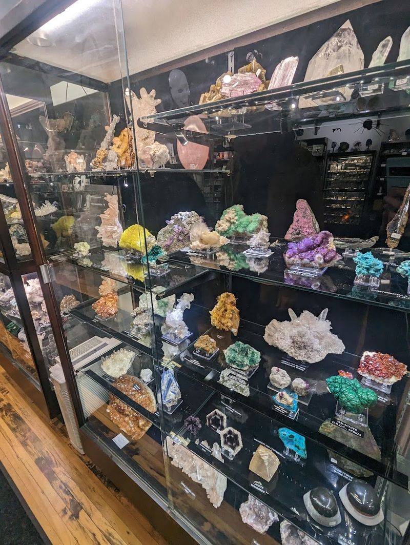 Ethically Sourced Specimens You Can Feel Good About