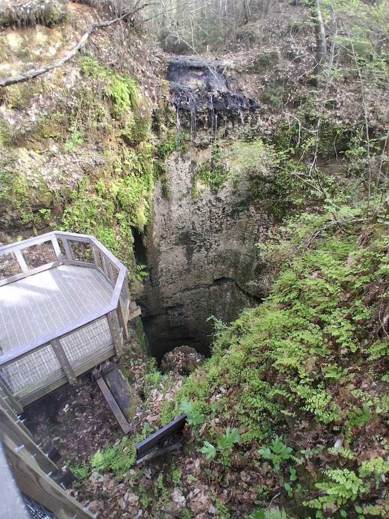 Family-Friendly Picnic Areas and Pavilions