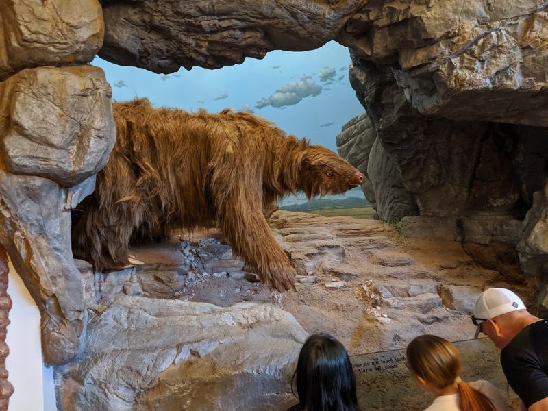 Living Rock Formations That Still Grow Today