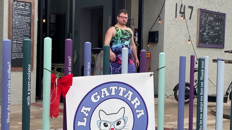 Fun Merchandise and Gifts Up Front