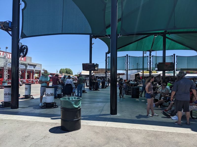 Carnival Rides and Games for the Whole Family
