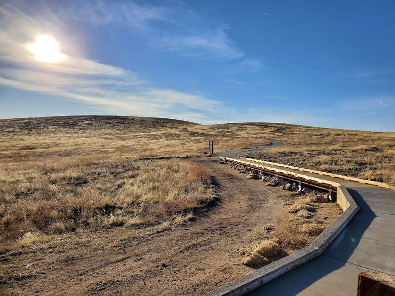 Essential Gear to Pack Before You Head Out