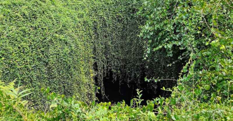 A Florida sinkhole that feels straight out of science fiction