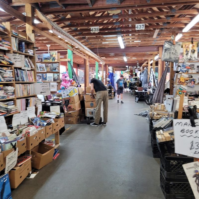 Used Books at Prices That Feel Like You're Getting Away with Something