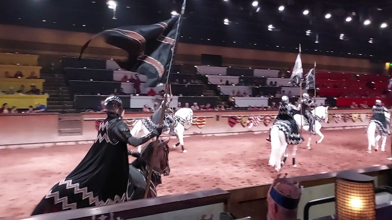 Falconry Demonstrations That Add Real Wow Factor