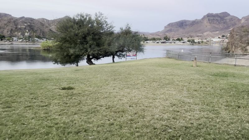 The Dog-Friendly Park and Dog Park Area