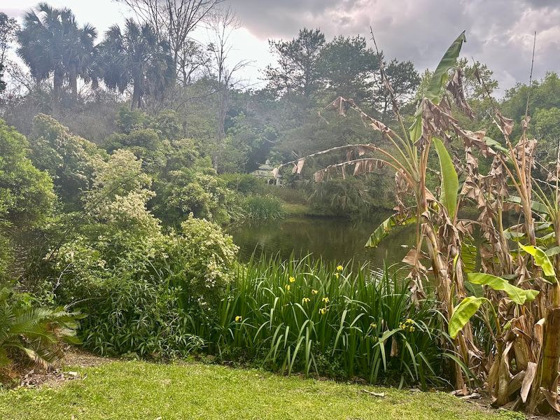 Why Kanapaha Keeps Visitors Coming Back Again and Again