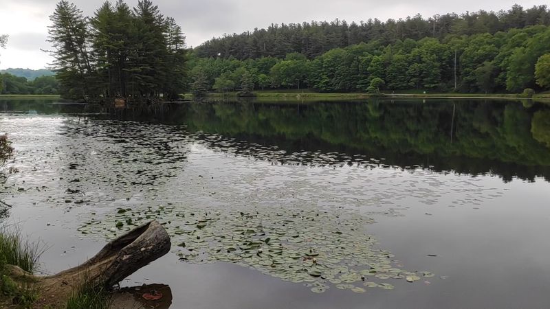 Fishing, Picnics, and Slow Lake Time