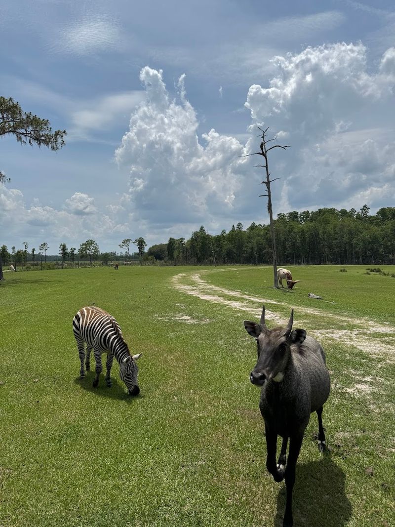 A Hidden Gem in Lakeland That Feels Nothing Like Florida
