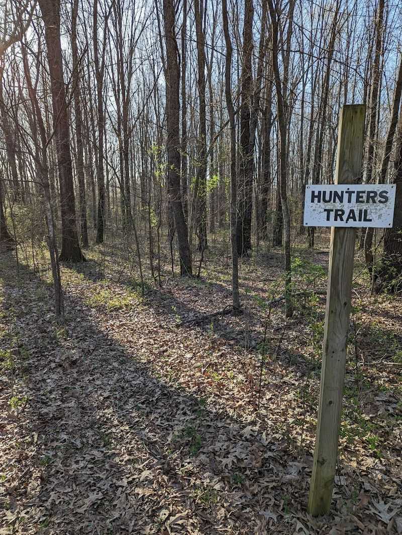 Geocaching Adventures Hidden in Plain Sight