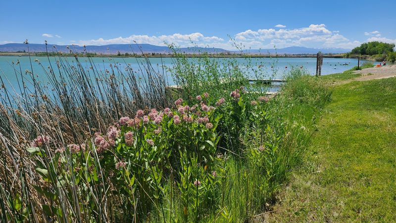 A Lakeside Trail Worth Every Step